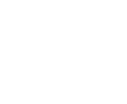 Evolution games at Vegas Plus Casino